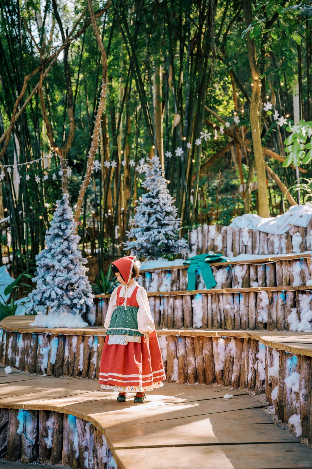 在东莞‼️我找到了爱丽丝梦游的秘境童话森林