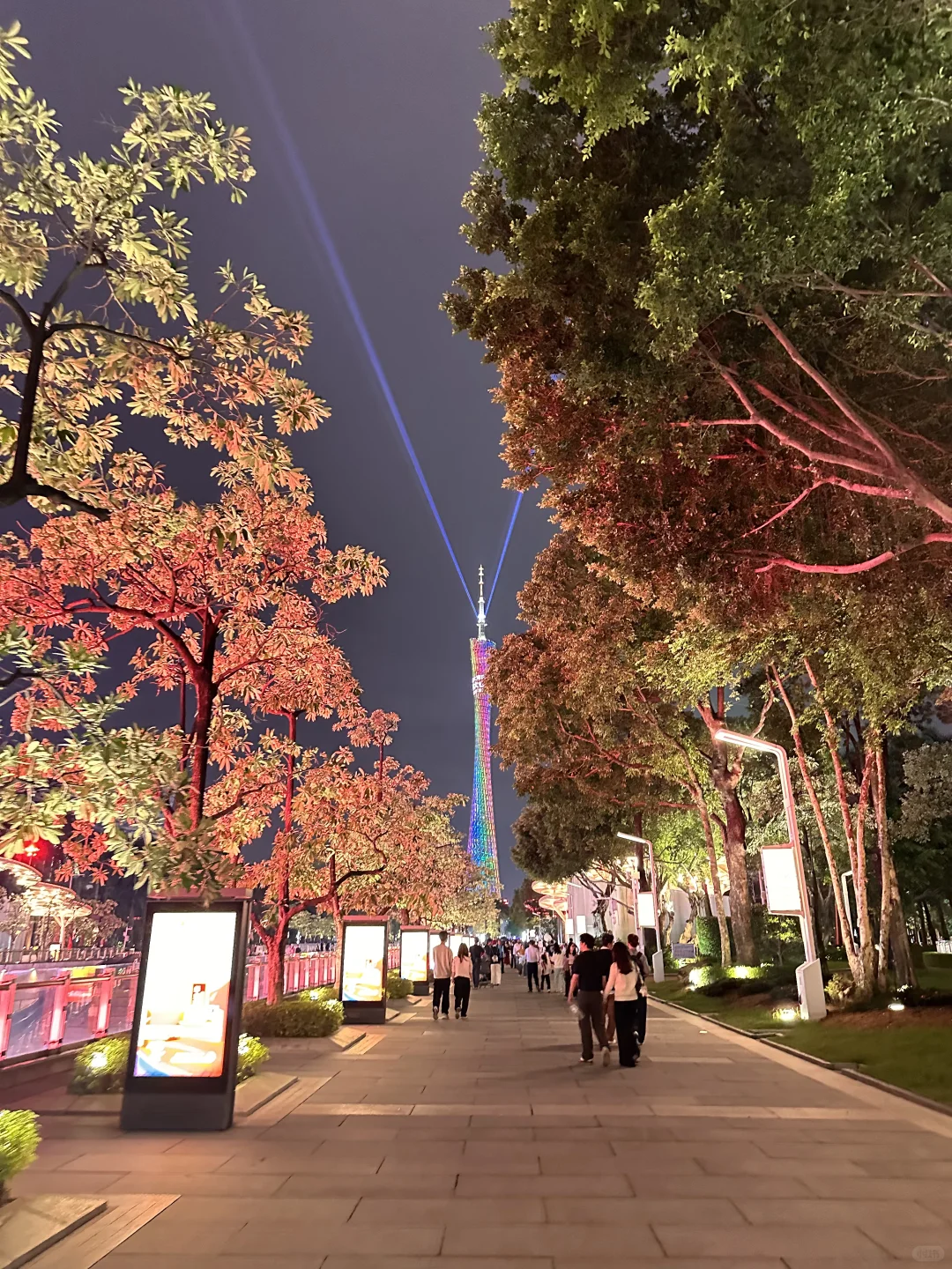 来广州不来这里看夜景真是白来！