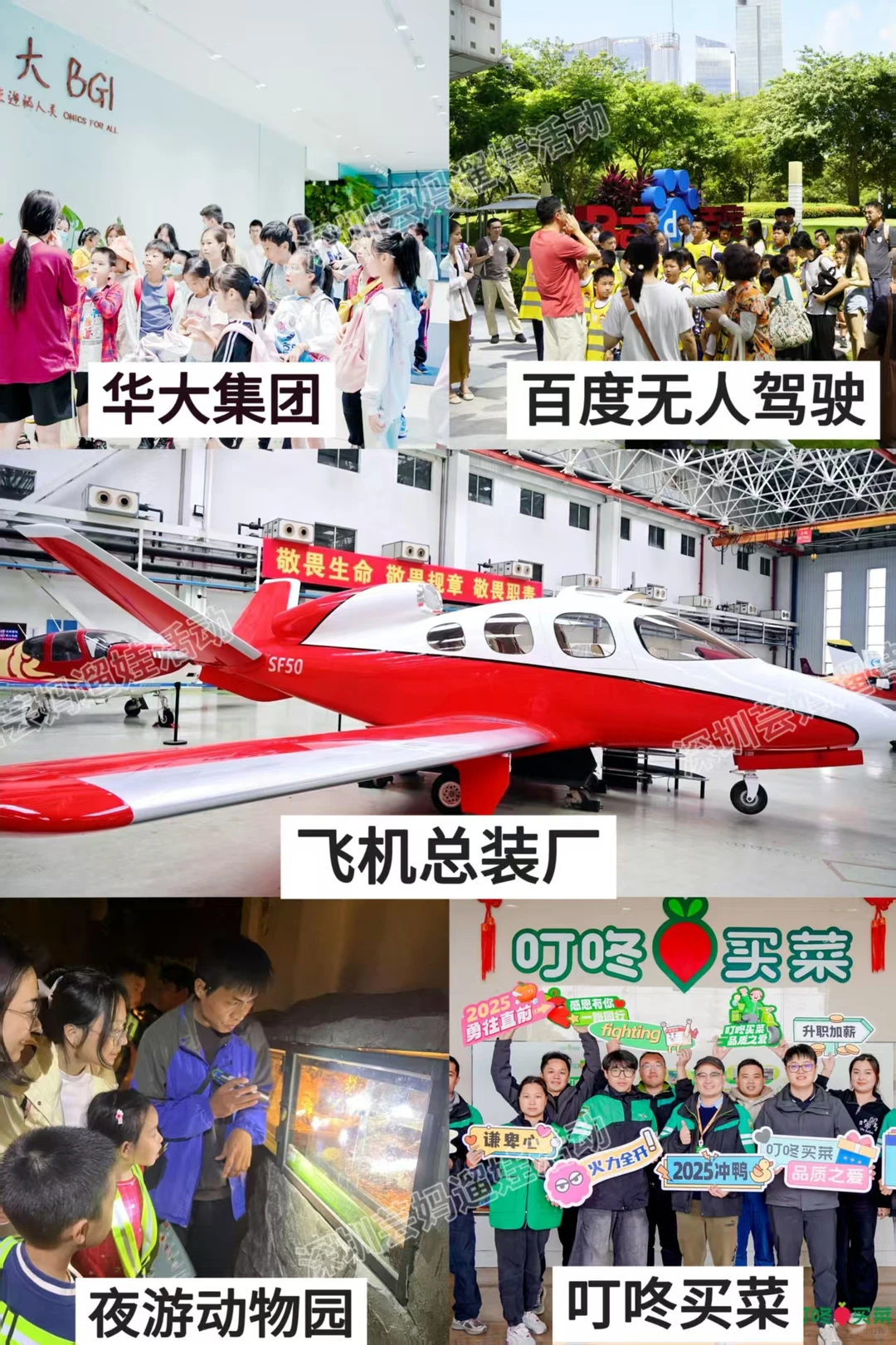 为什么一定要带小孩去一趟深圳～