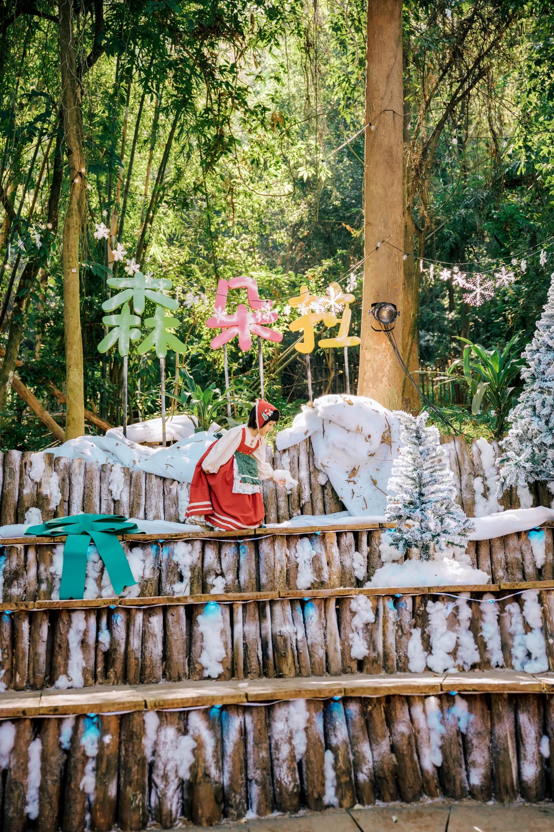 在东莞‼️我找到了爱丽丝梦游的秘境童话森林