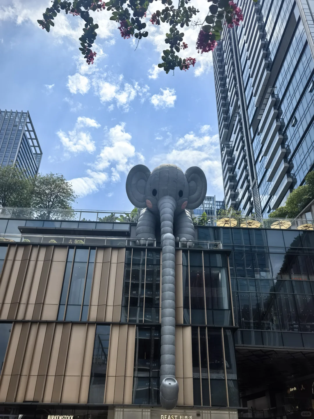 西安出发周末游||✈️深圳（超详细攻略）