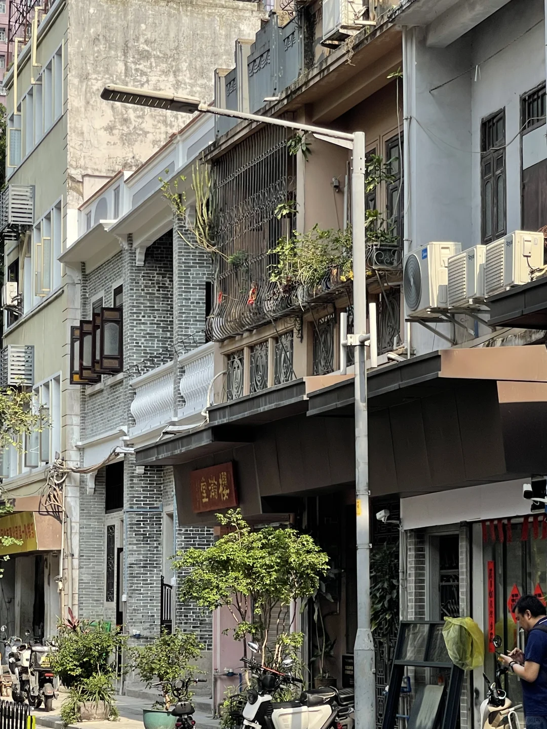 山东人来广州两年了 越来越爱这座城市