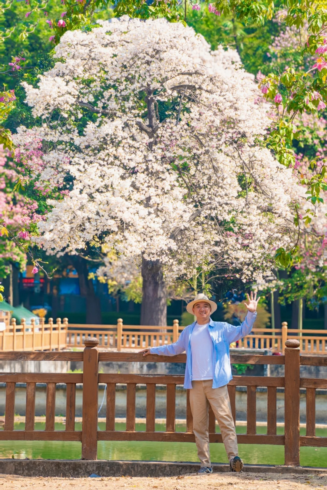 这个周末游广州‼️别错过这5️⃣个赏花地
