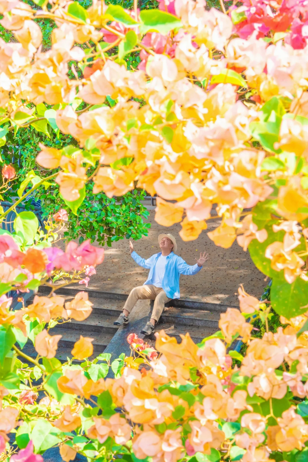 这个周末游广州‼️别错过这5️⃣个赏花地