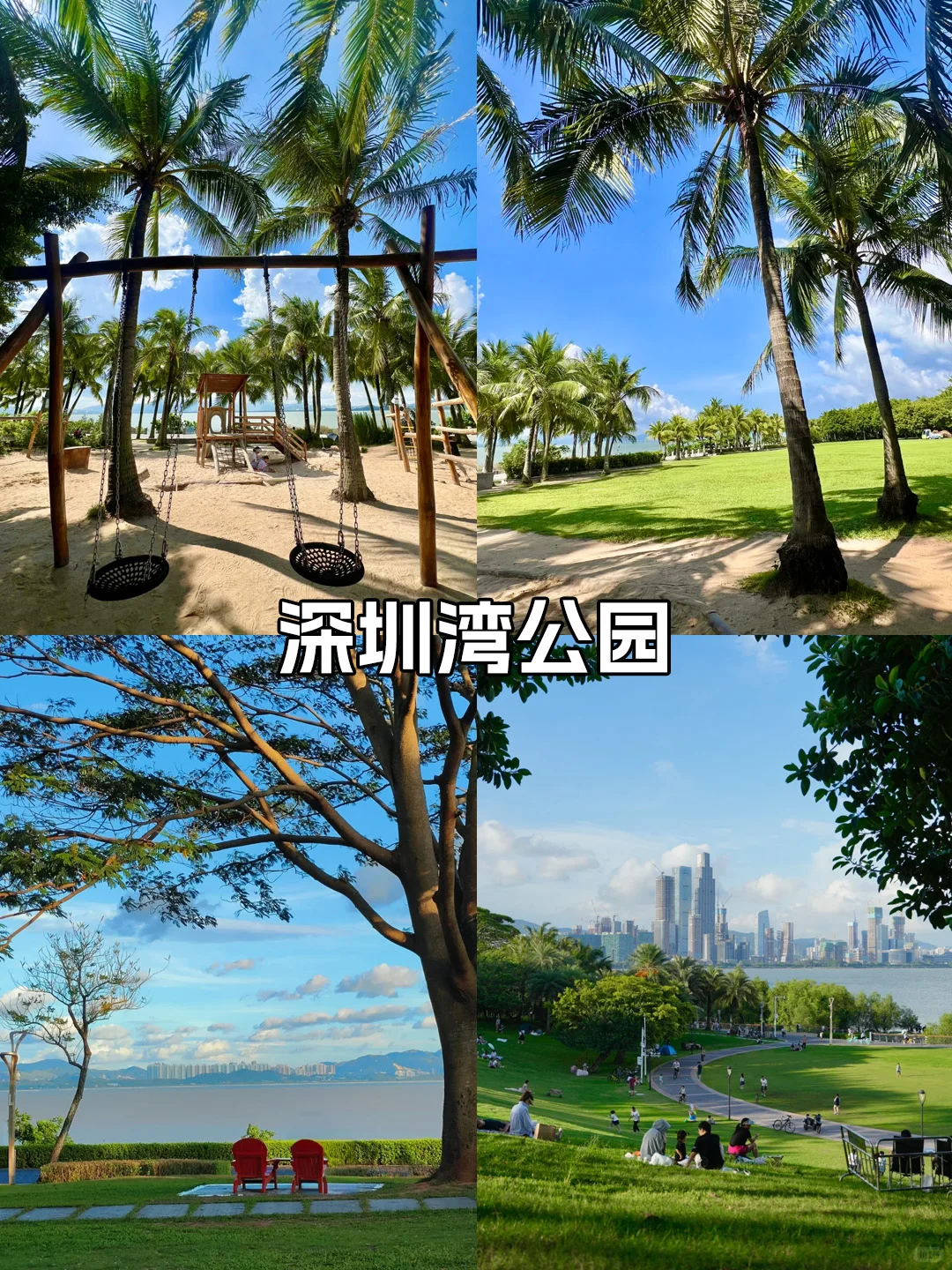 终于有人把9～11🈷️深圳旅游攻略讲清楚