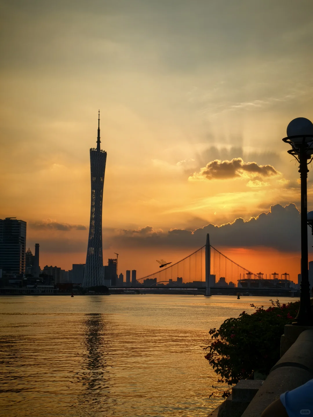 夕阳下的珠江边🌅