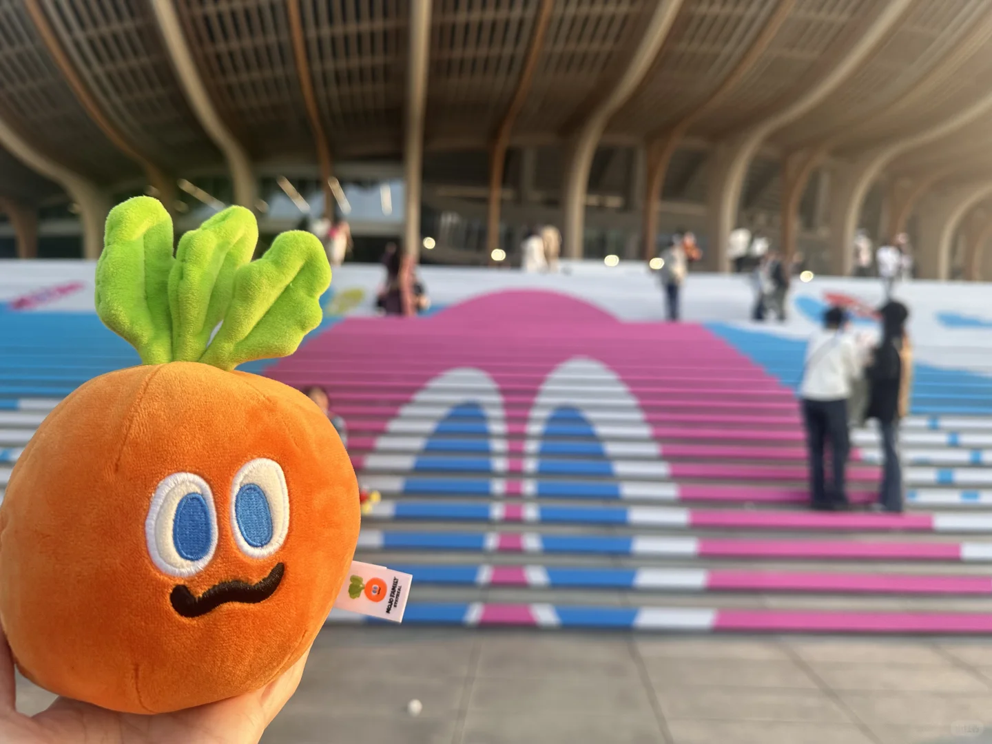 五月天很好，南沙交通不太行(广州首场受害版