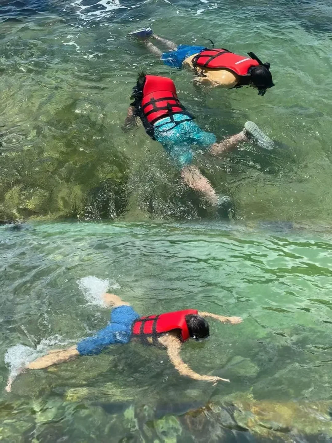 98/人‼️深圳玻璃海浮潜赶海玩个够‼️