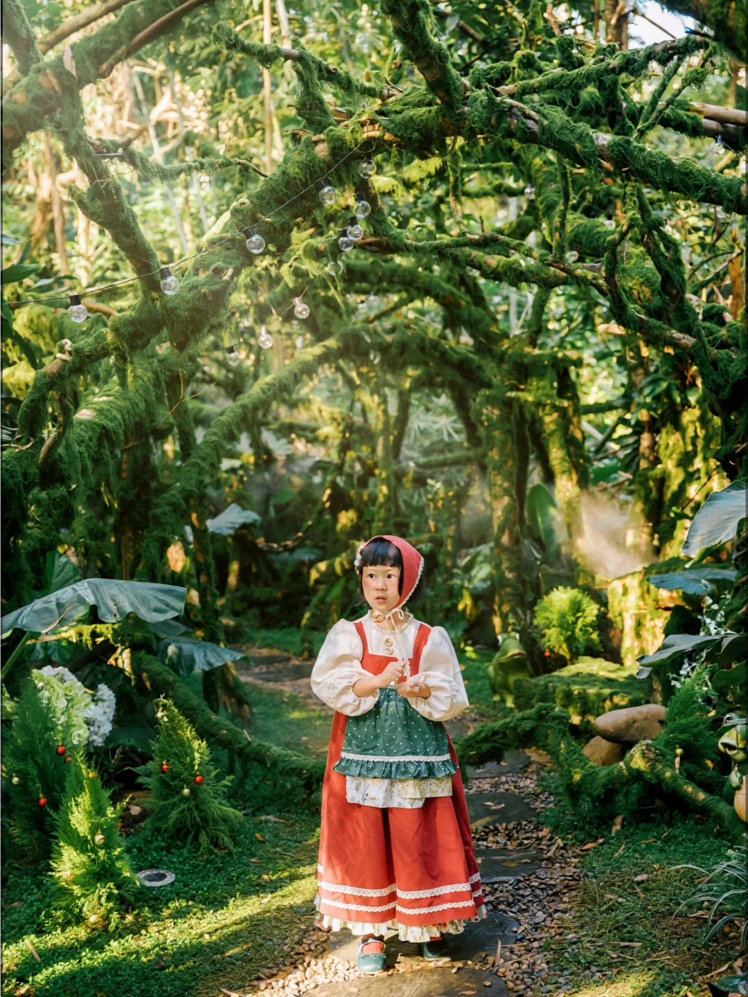 在东莞‼️我找到了爱丽丝梦游的秘境童话森林