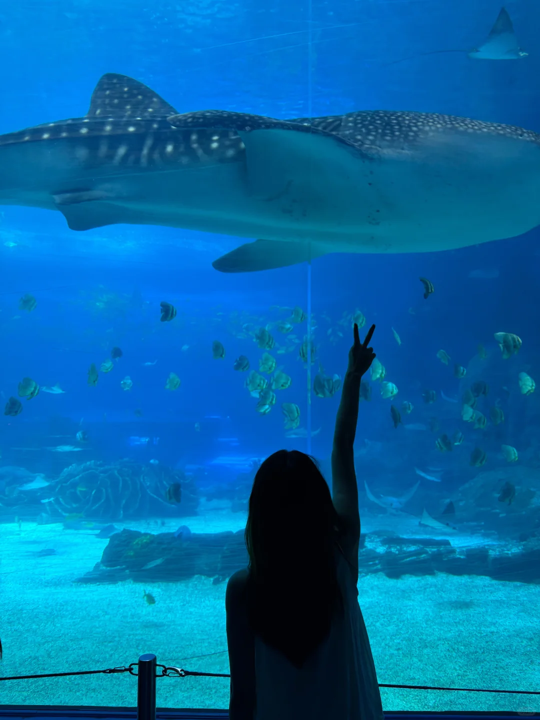 东莞土著女生 相亲贴