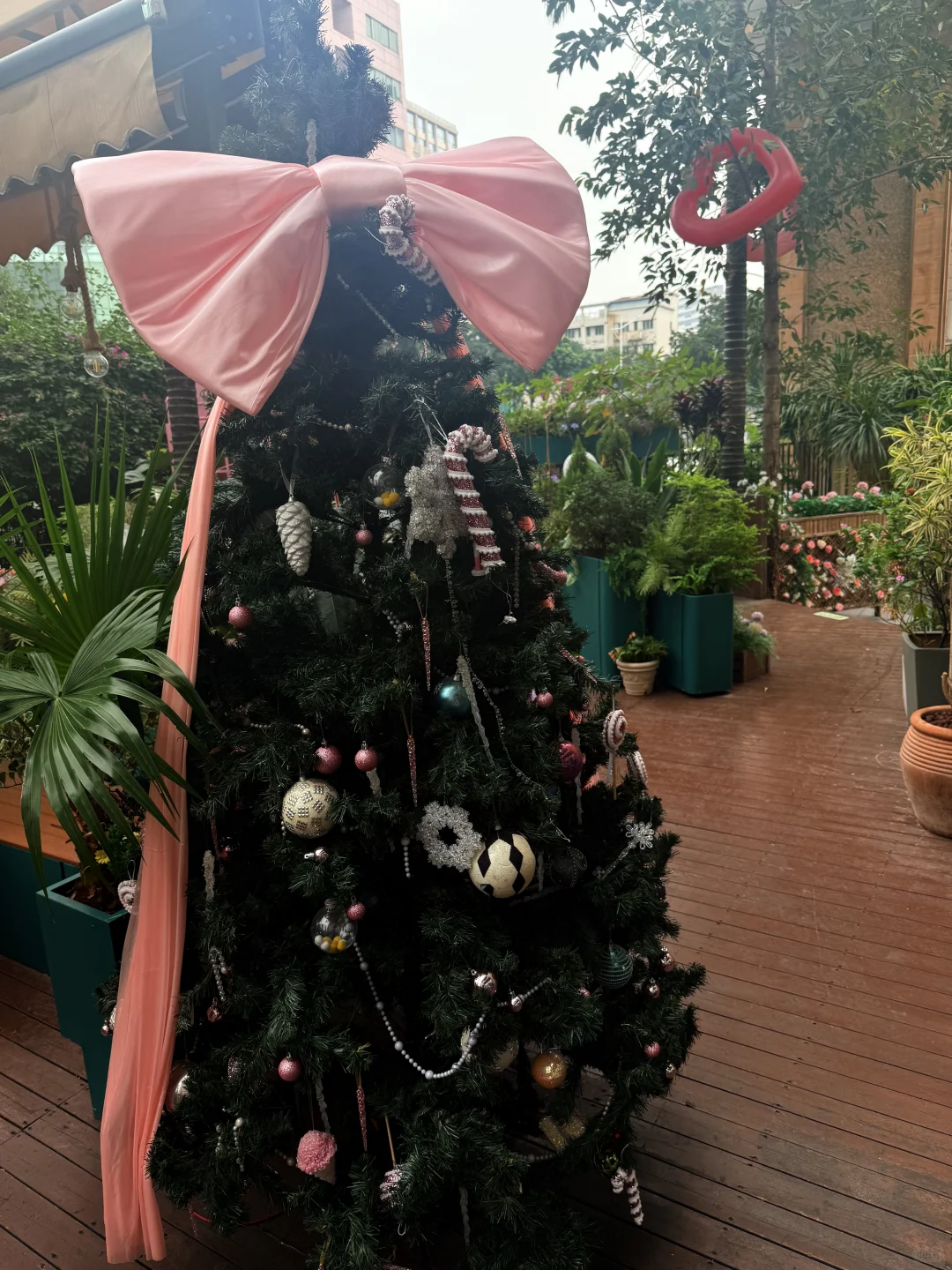 东莞探店｜这家圣诞氛围已10000000%