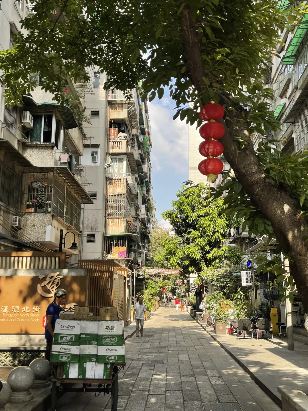 山东人来广州两年了 越来越爱这座城市