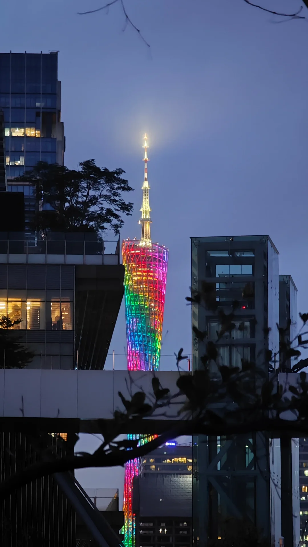 广州有点像发达地区了