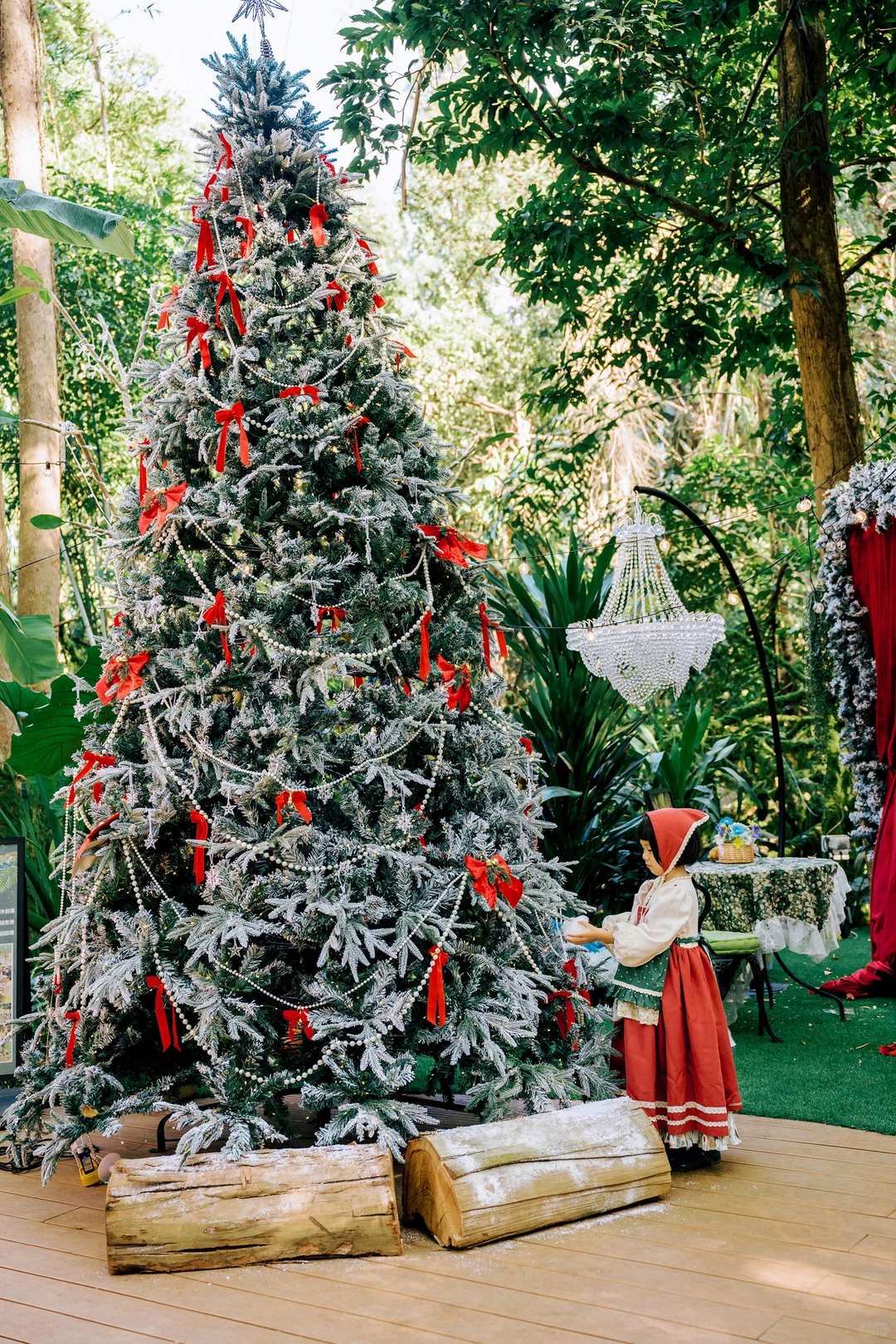 在东莞‼️我找到了爱丽丝梦游的秘境童话森林