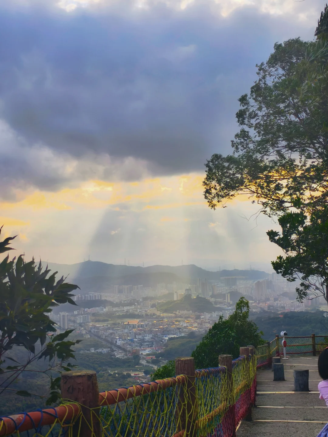 你说这里是东莞?还是说这是在爬山?