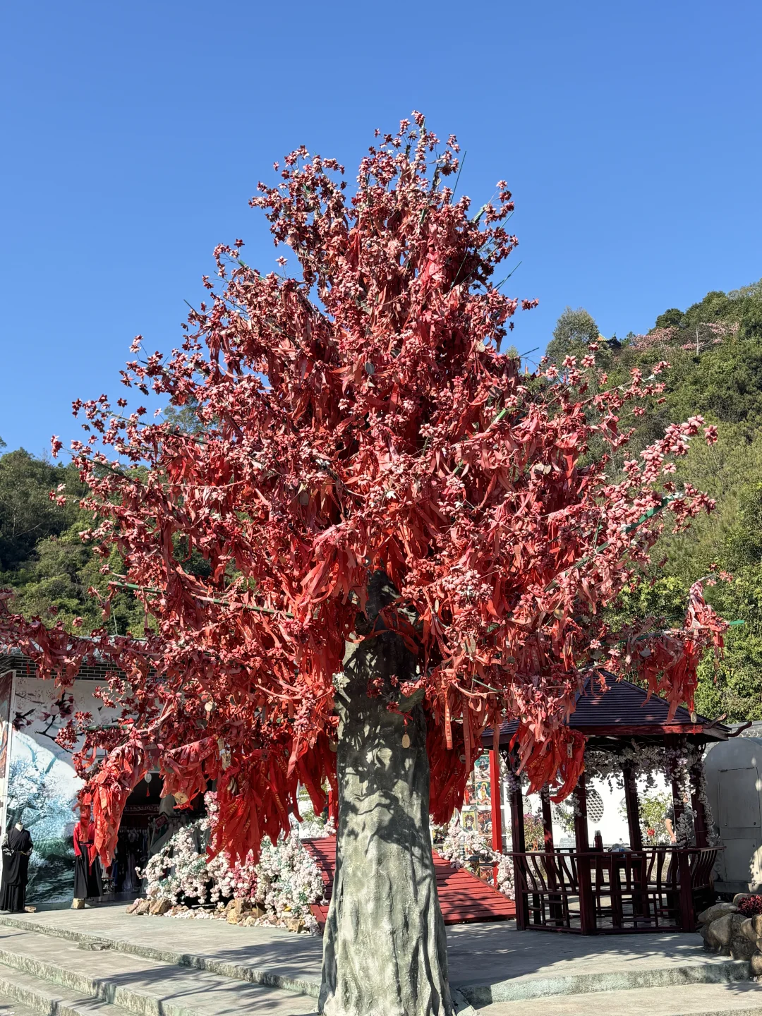 总要来一趟观音山见见观音菩萨吧🥰🥰