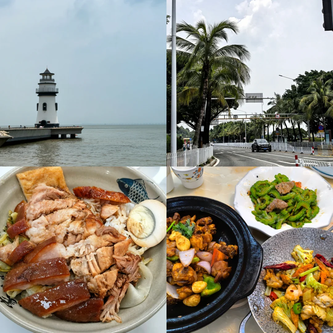 深圳➕港珠澳特种兵5日游攻略纯分享