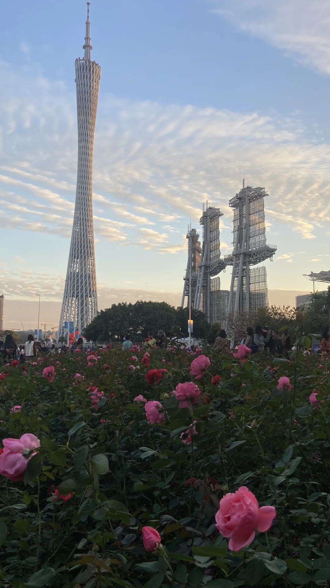 广州的天气太好了