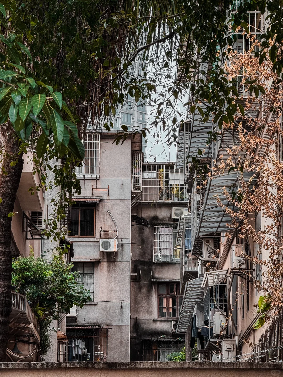 广州City Walk也太好拍了｜花城真的名不虚传