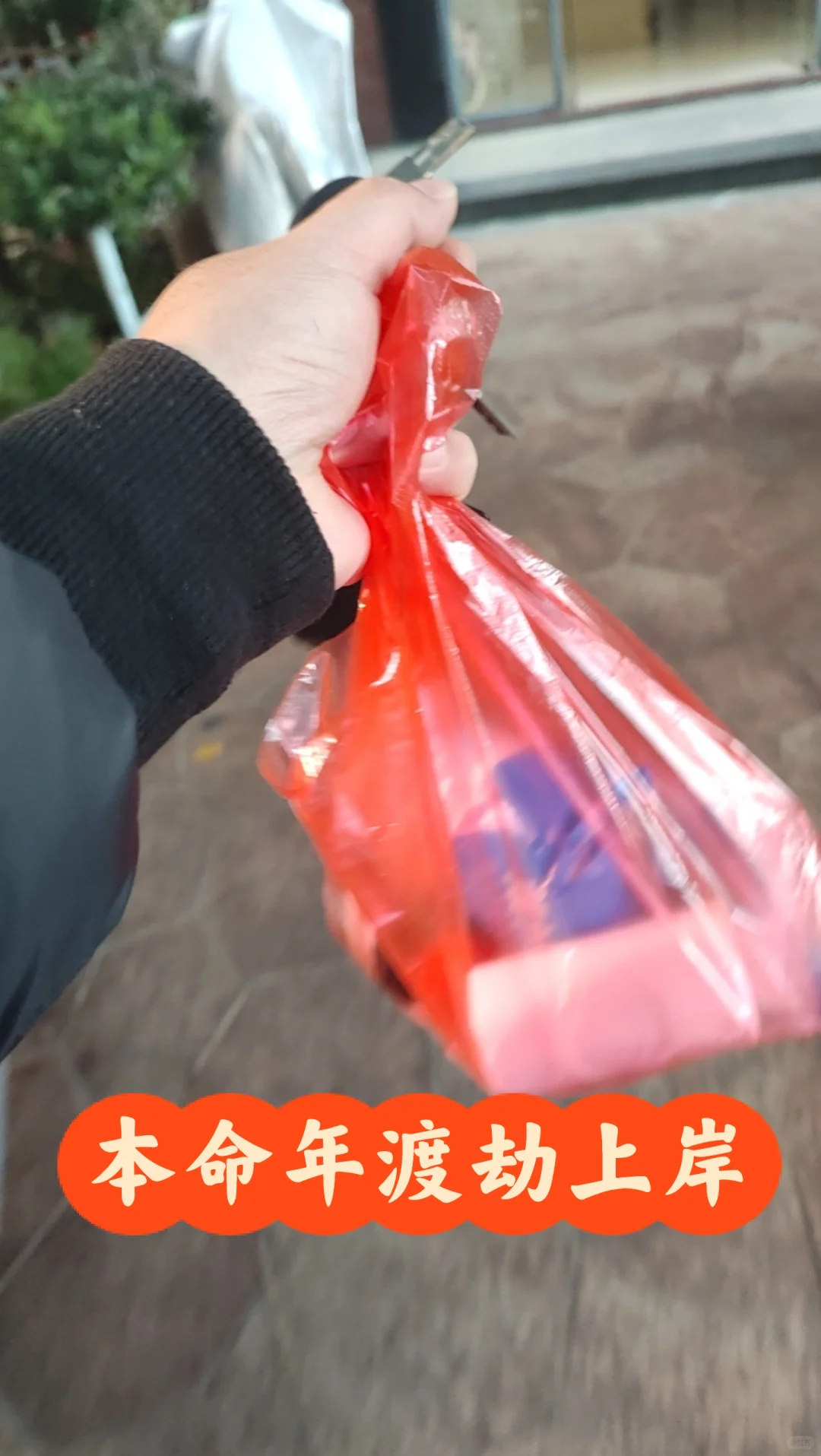 给我半个月的时间养好伤去广州