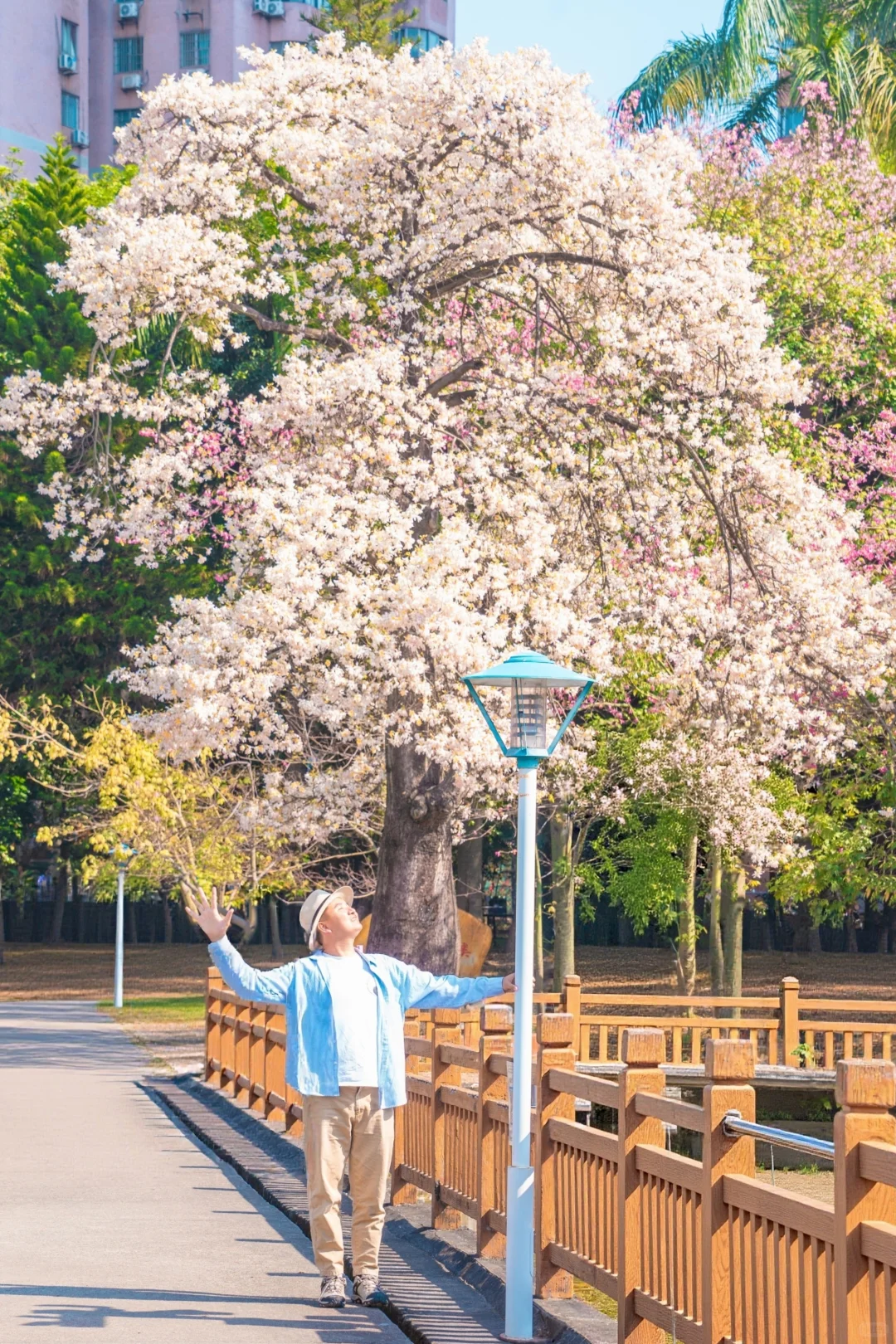 这个周末游广州‼️别错过这5️⃣个赏花地