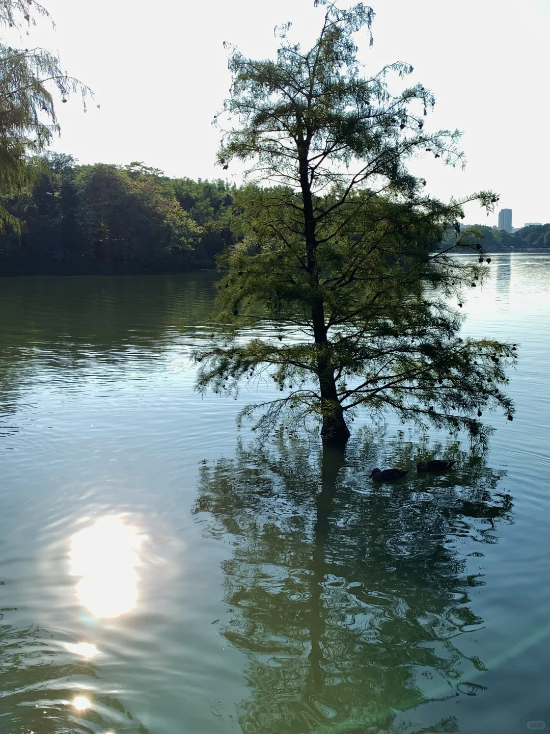 别问了！免费！在广州在广州！！！