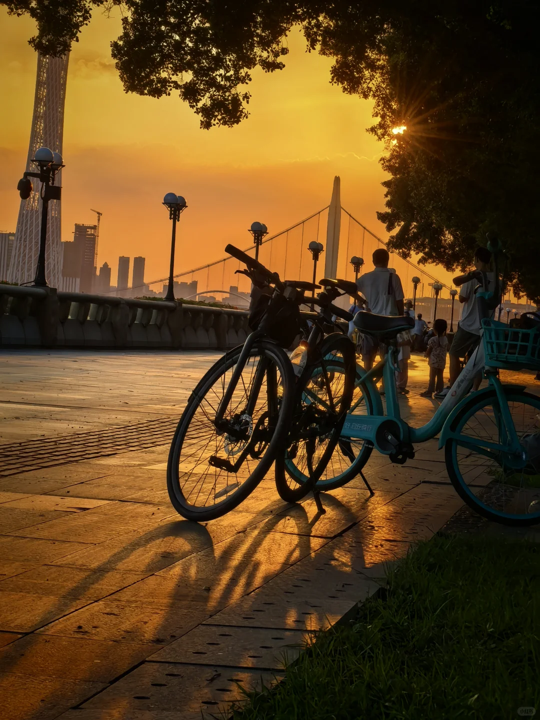 夕阳下的珠江边🌅