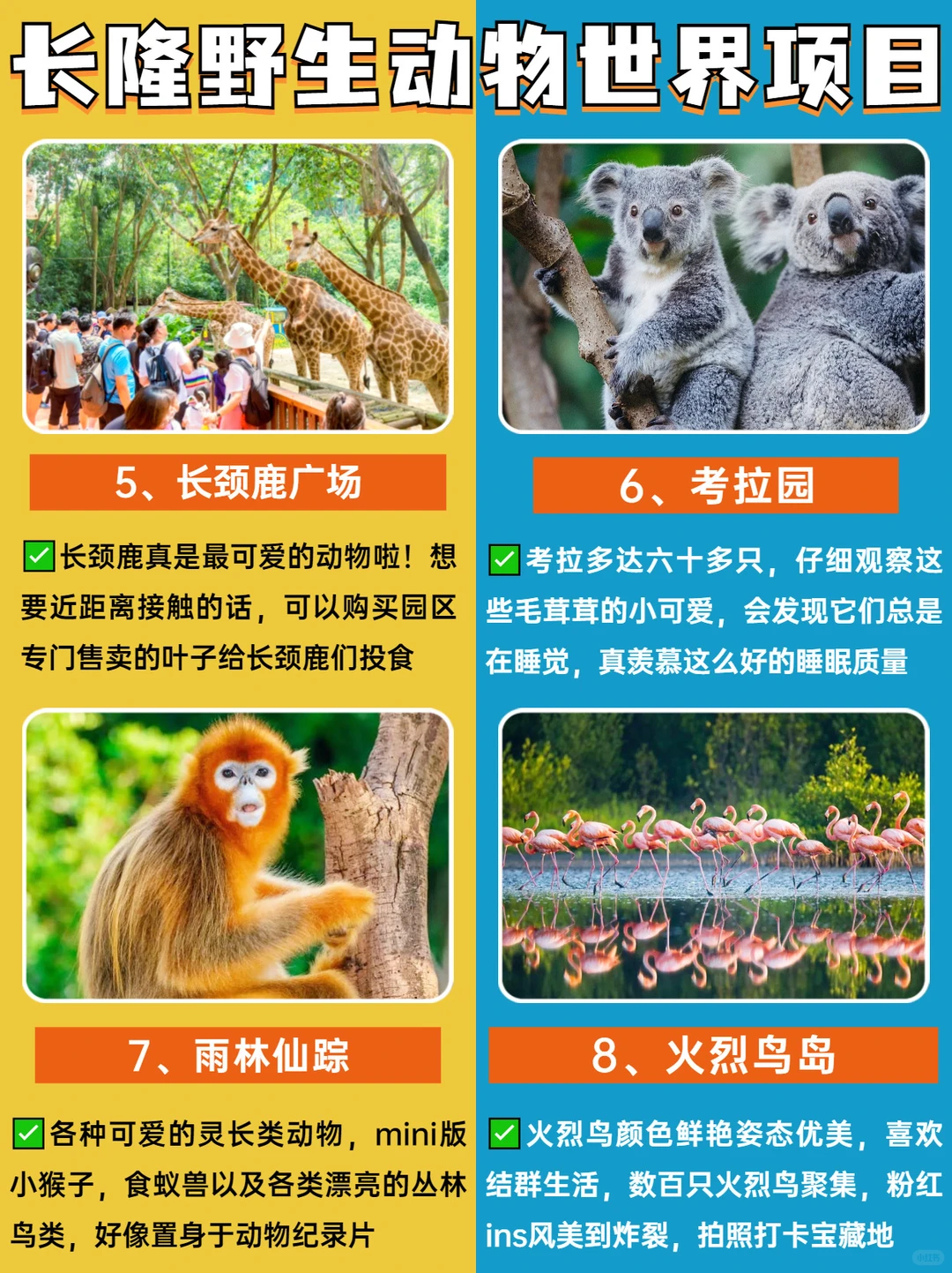 广州长隆最新攻略🔥附避坑秘籍