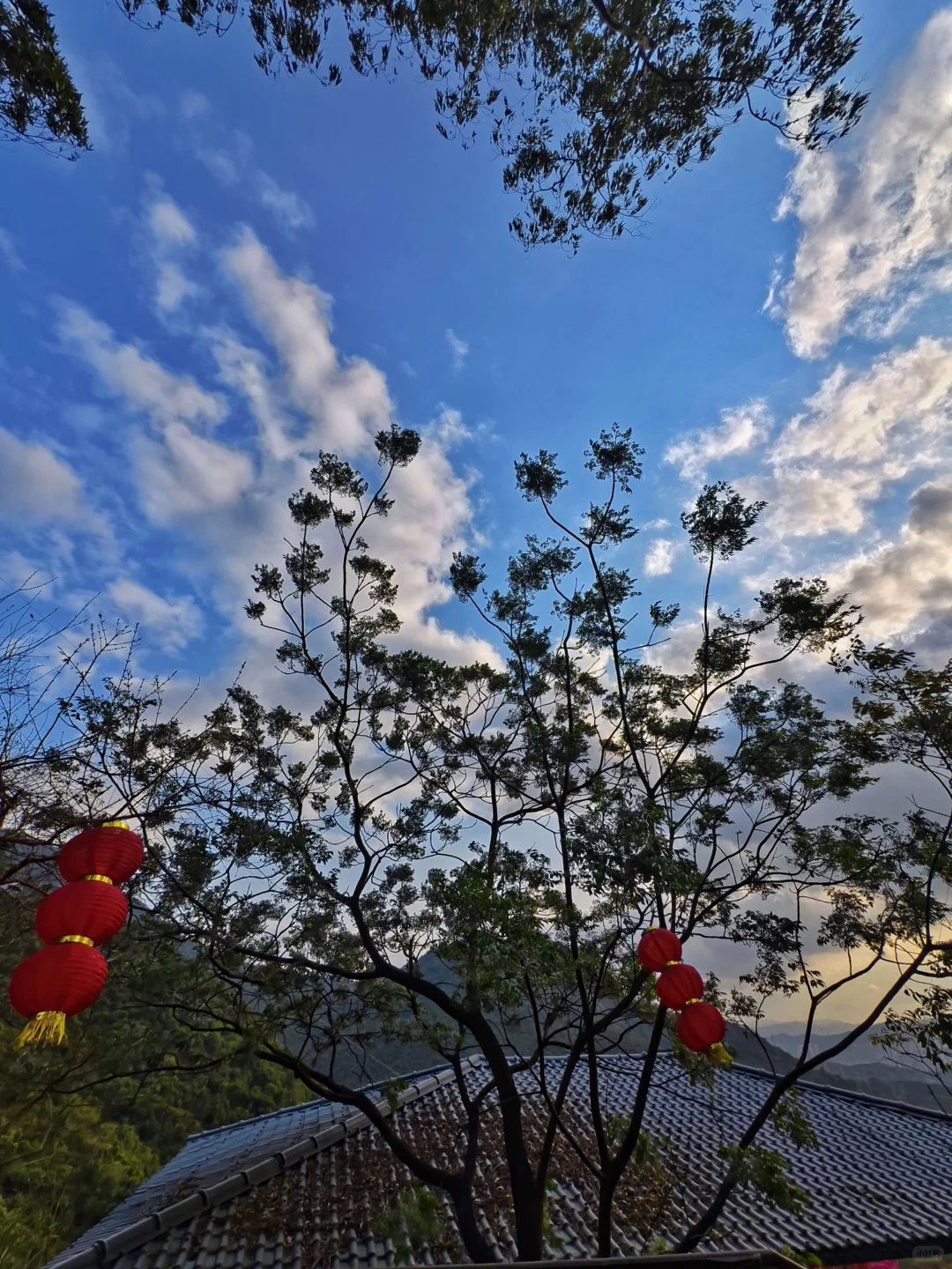 你说这里是东莞?还是说这是在爬山?