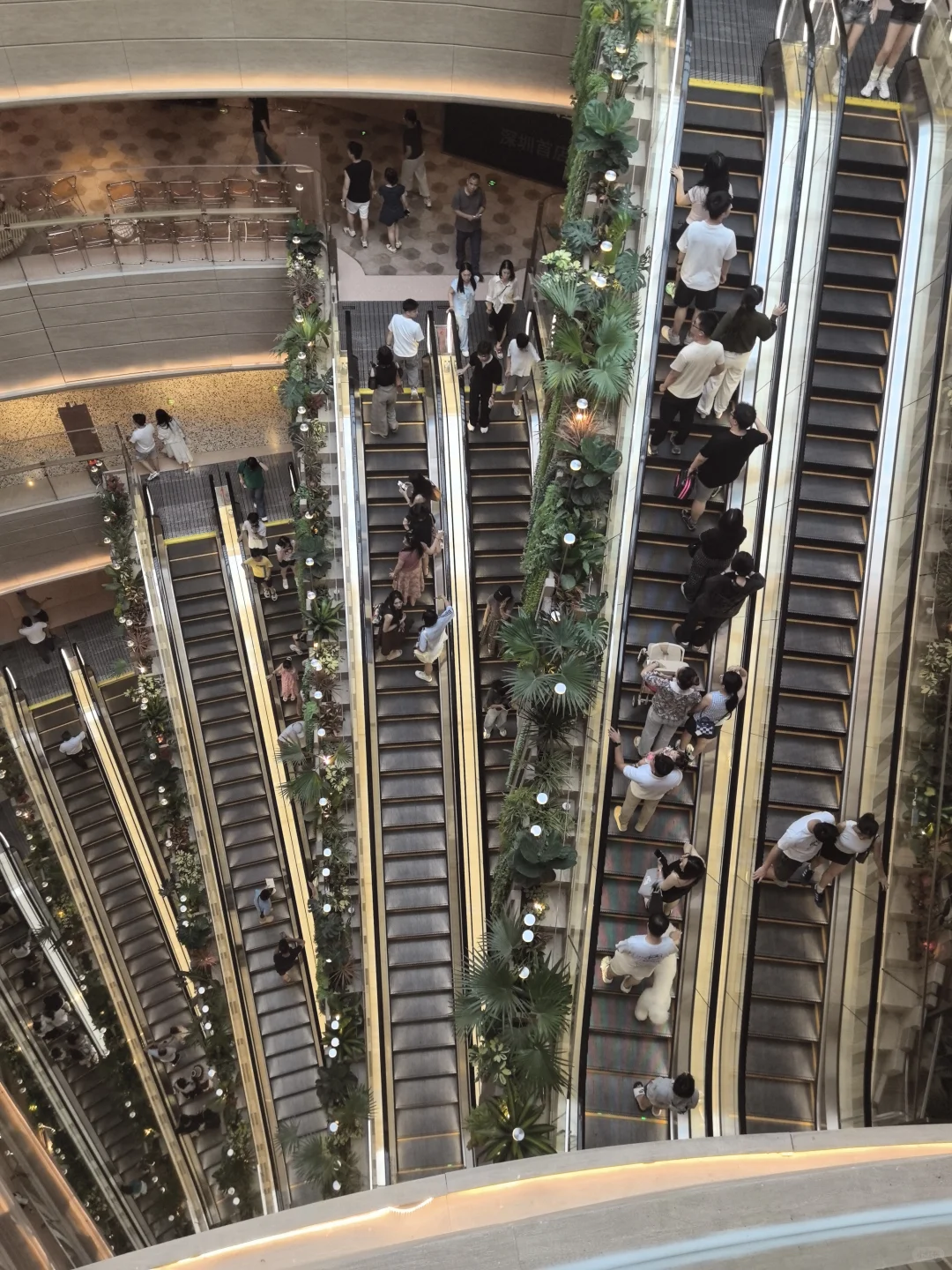 西安出发周末游||✈️深圳（超详细攻略）