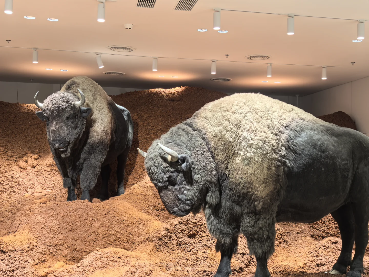 离大谱，还是别去了吧