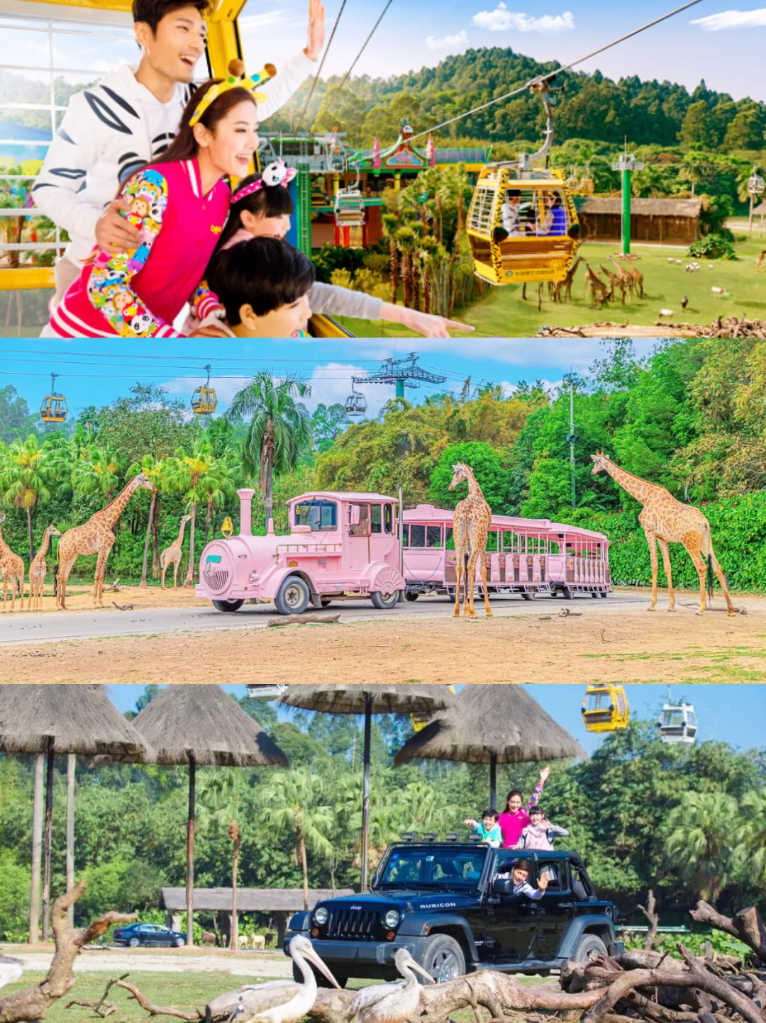 广州长隆最新攻略🔥附避坑秘籍