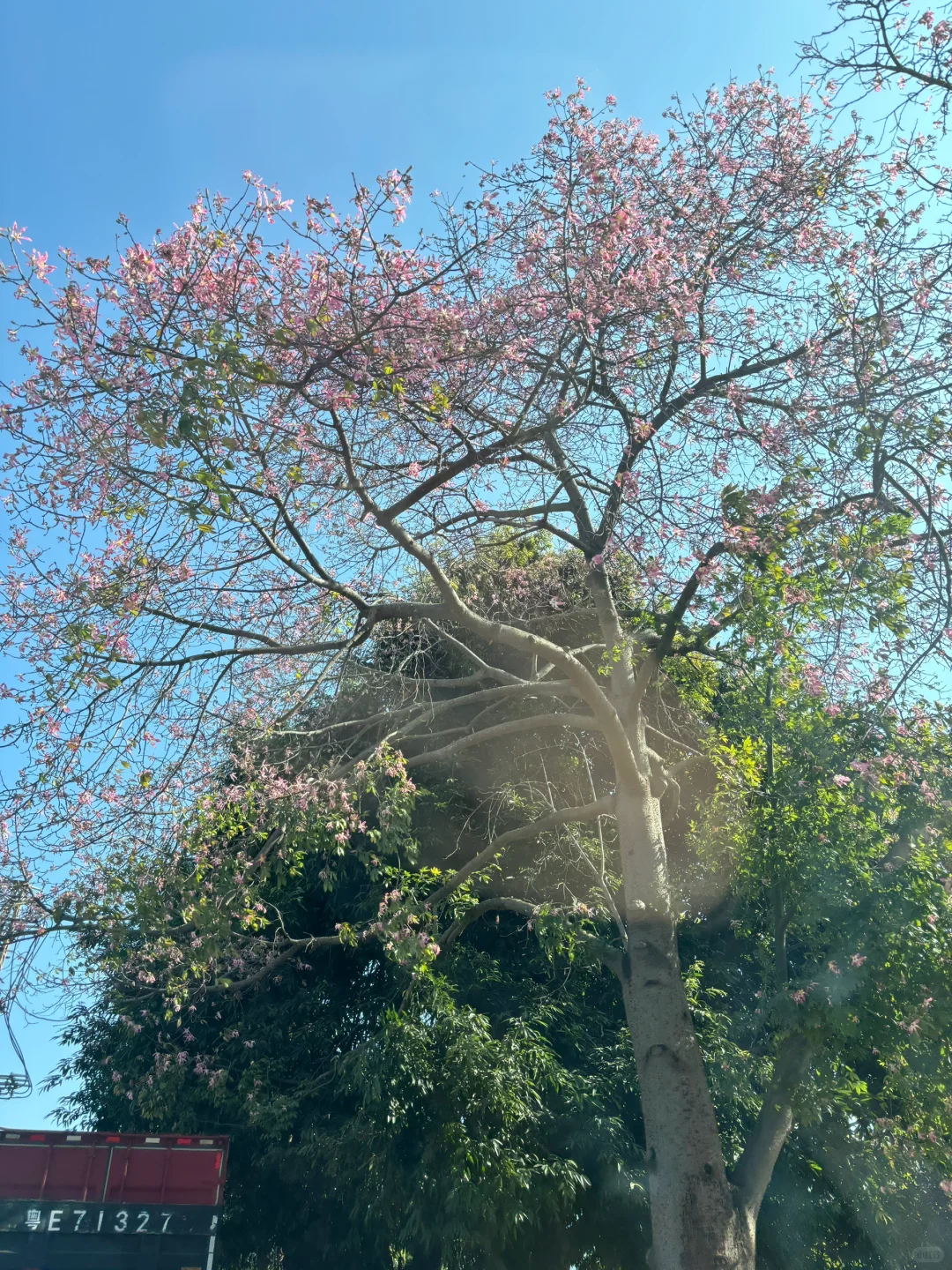 总要来一趟观音山见见观音菩萨吧🥰🥰