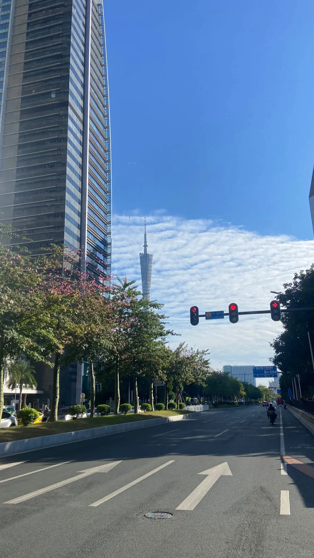 广州的天气太好了