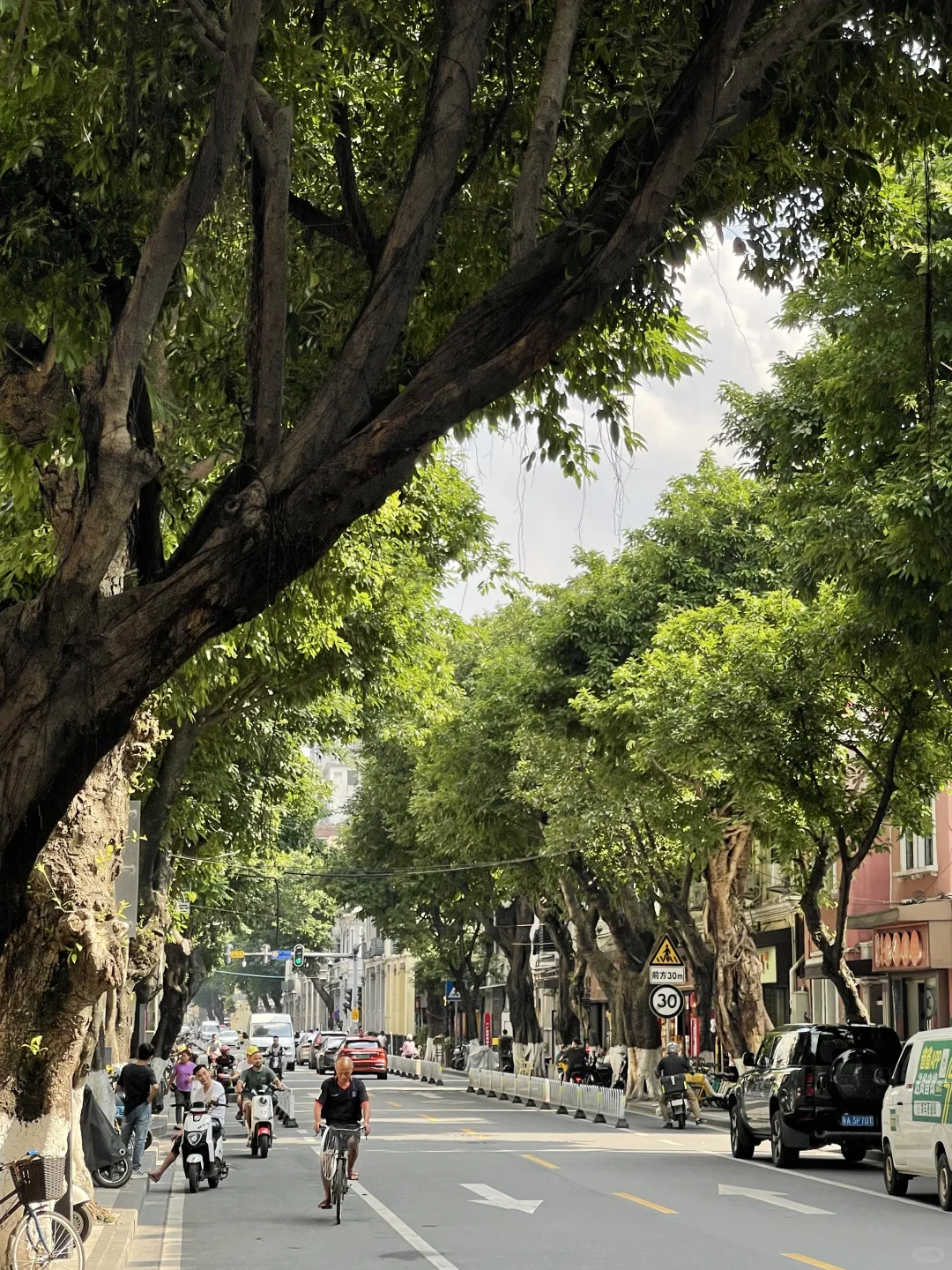 山东人来广州两年了 越来越爱这座城市