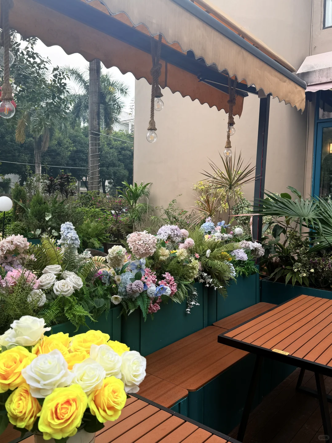 东莞探店｜这家圣诞氛围已10000000%