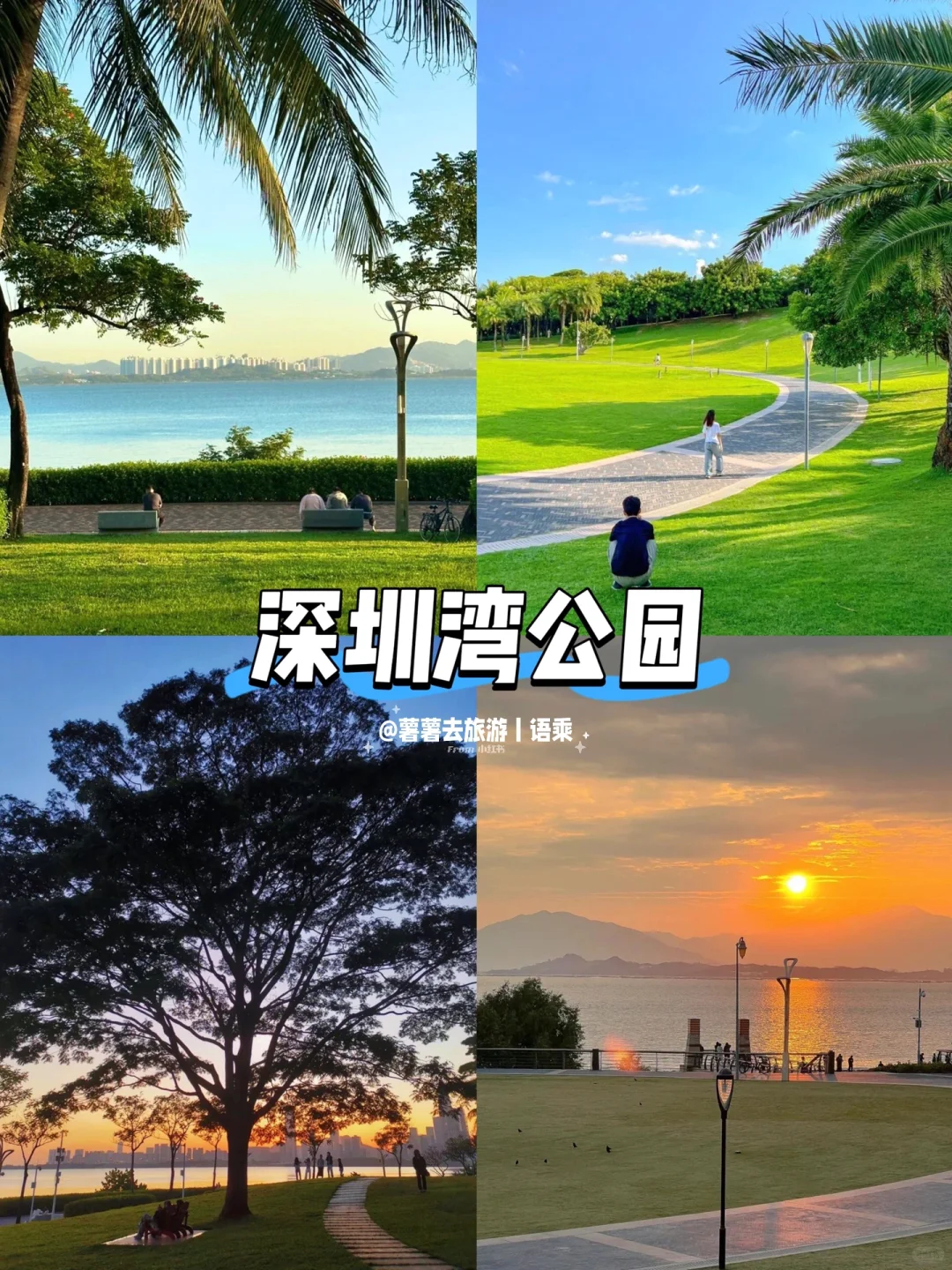 写给来深圳玩的姐妹👭避坑指南 + 宝藏景点