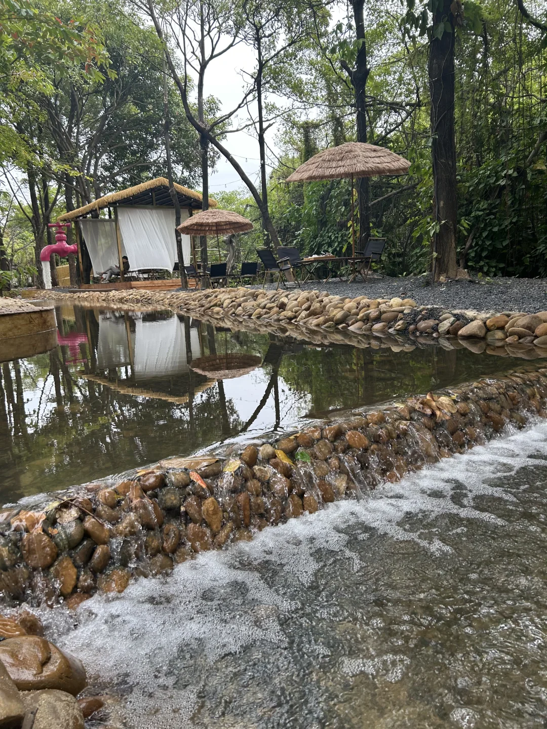 周末去哪里| 东莞蝴蝶岛🦋