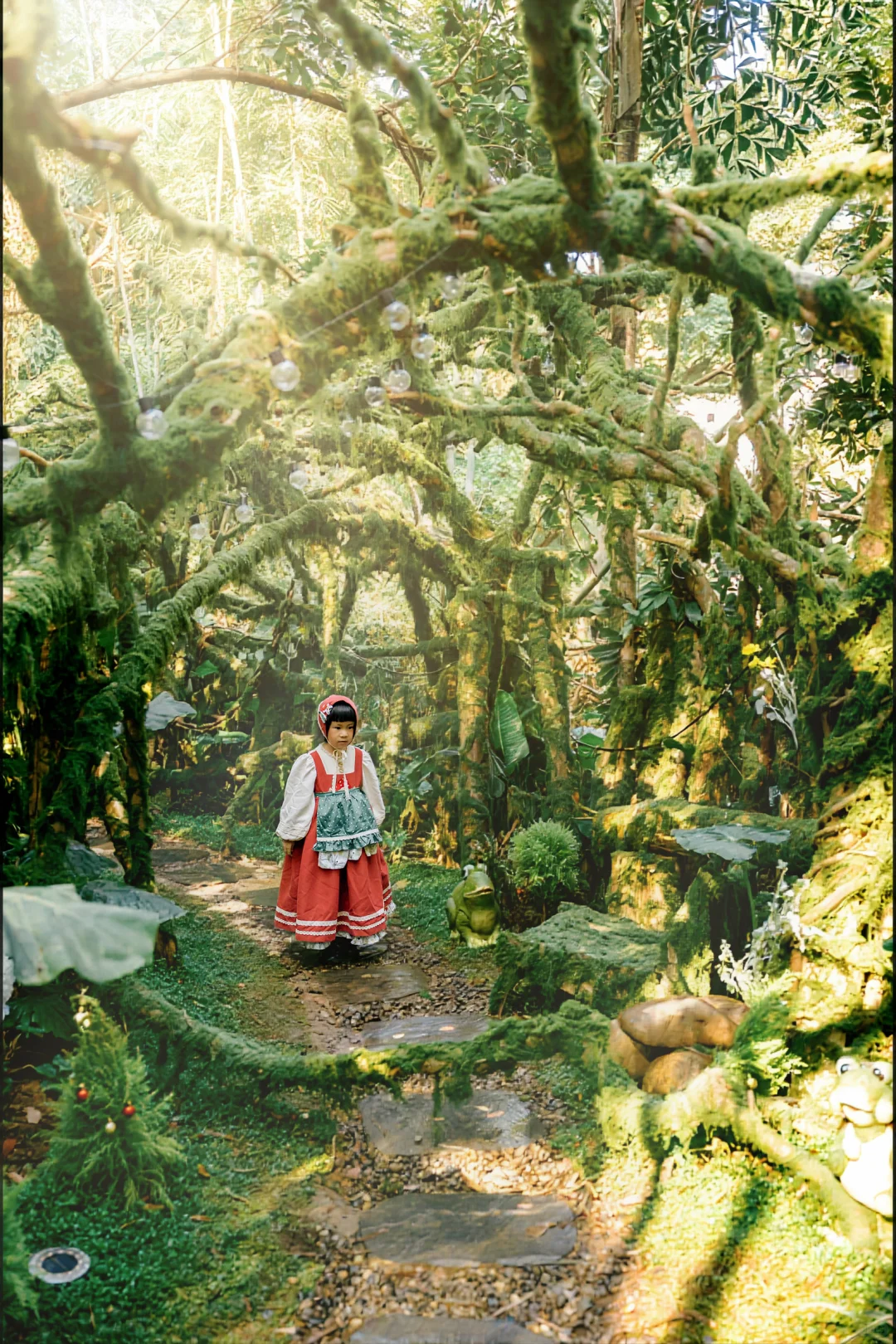 在东莞‼️我找到了爱丽丝梦游的秘境童话森林