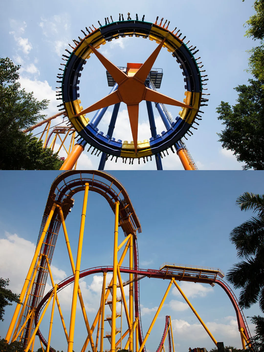 刚发布的广州长隆通知❗️幸好出发前看到😭