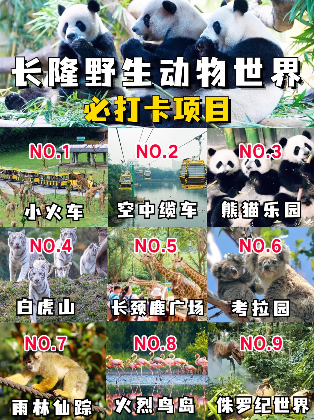 广州长隆最新攻略🔥附避坑秘籍