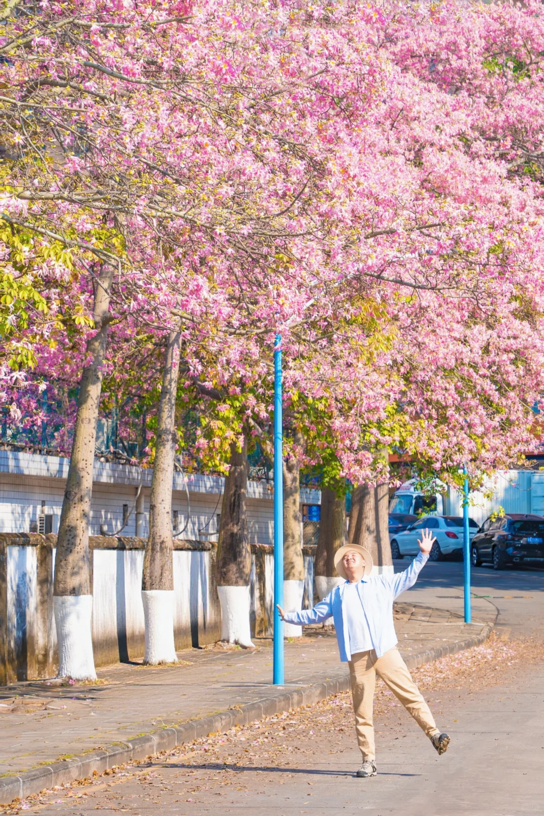 这个周末游广州‼️别错过这5️⃣个赏花地