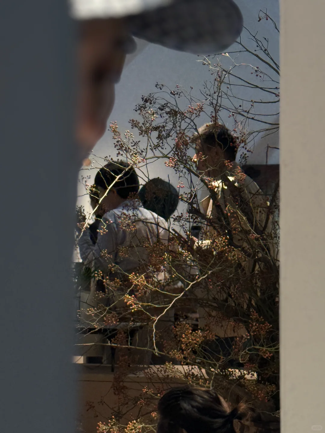 广州设计周最喜欢的作品是这里