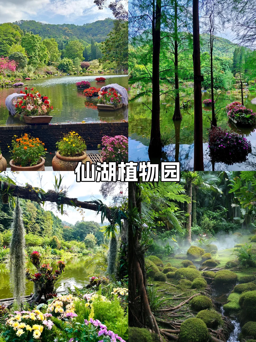 终于有人把9～11🈷️深圳旅游攻略讲清楚