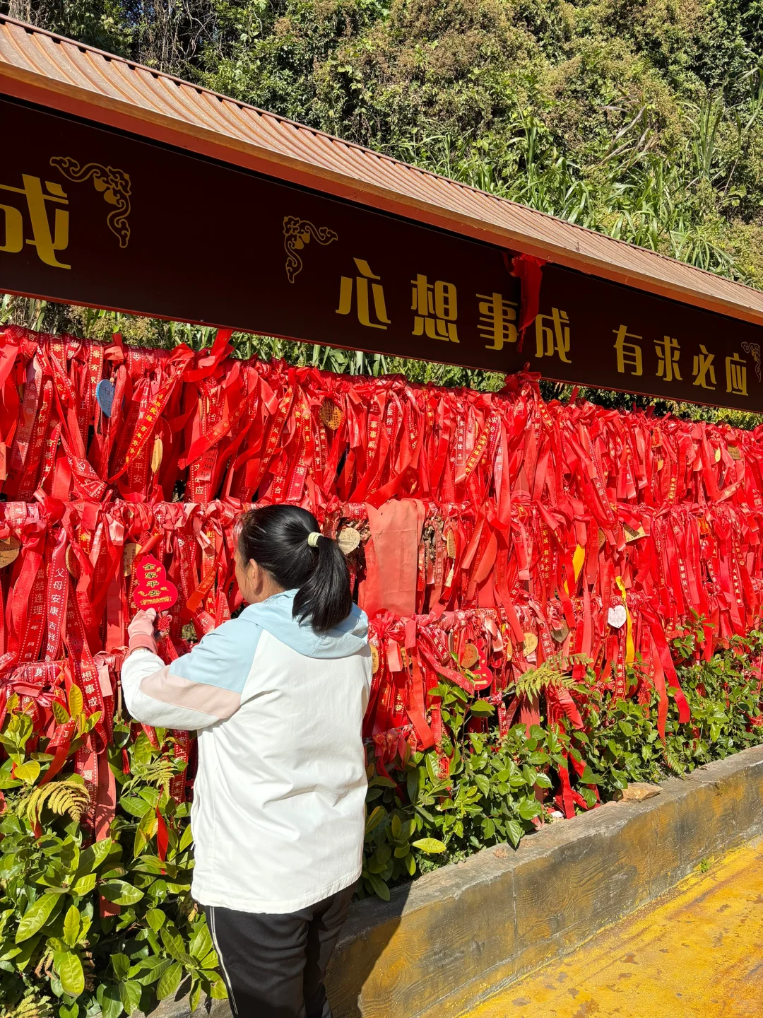 总要来一趟观音山见见观音菩萨吧🥰🥰