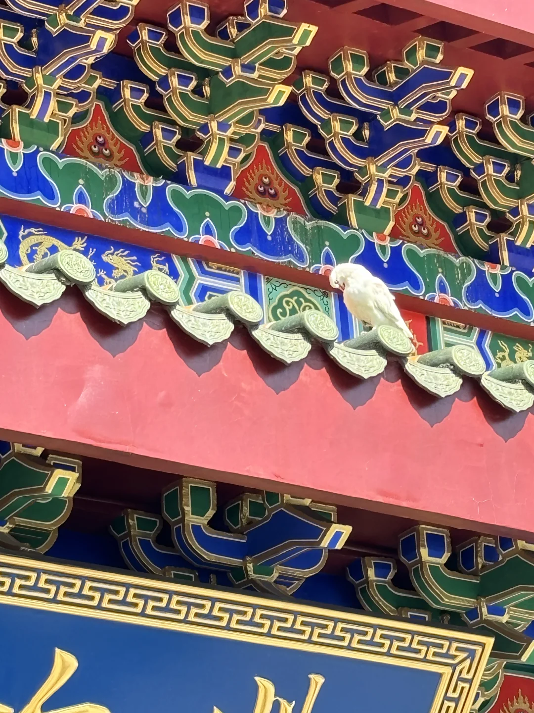 总要来一趟观音山见见观音菩萨吧🥰🥰