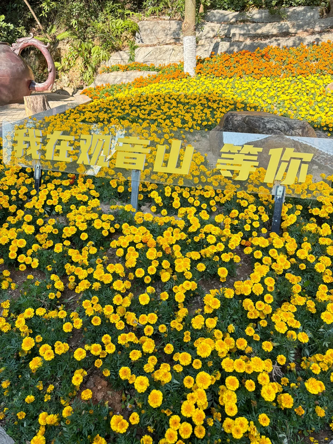 总要来一趟观音山见见观音菩萨吧🥰🥰