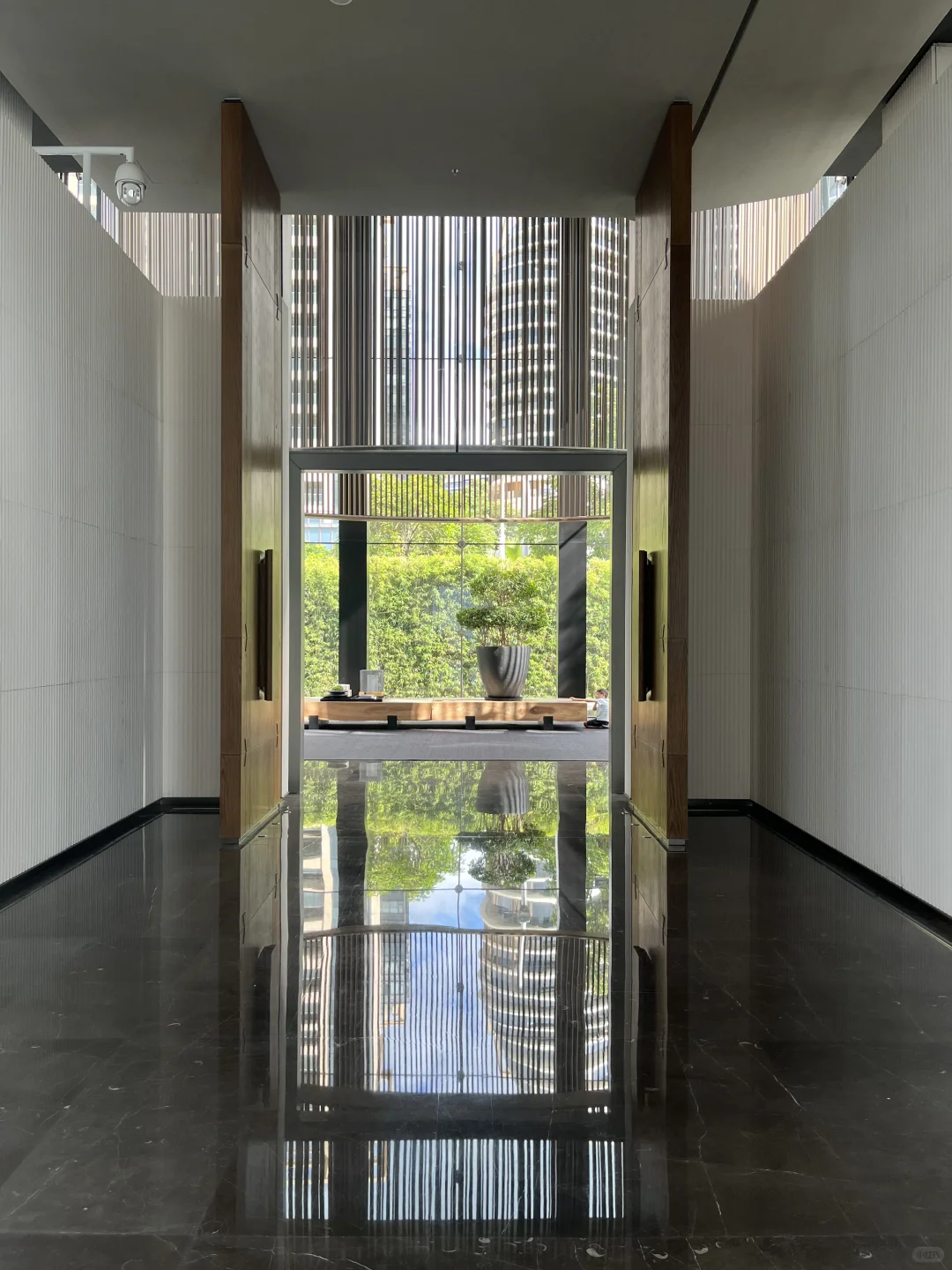 去了大梅沙后觉得桔钓沙简直是个…