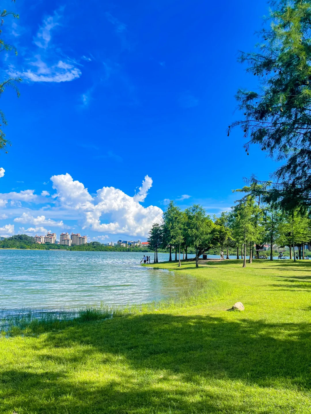 夏天的松山湖，即将成为东莞公园顶流！