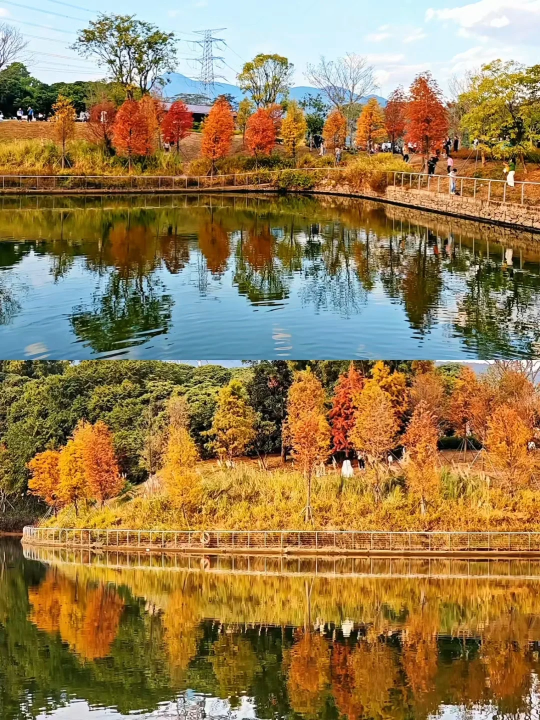 深圳西丽写意三河已美成油画，附live实拍！